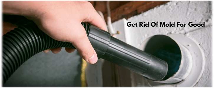Air Duct Mold Removal in Ashland MA